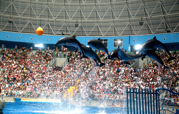 image003.jpg image003.jpg