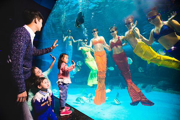 image005.jpg image005.jpg