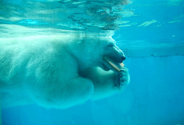 image007.jpg image007.jpg