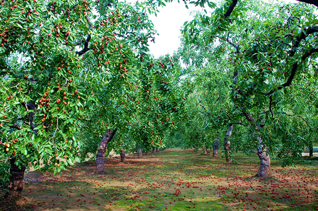 image001.jpg image001.jpg