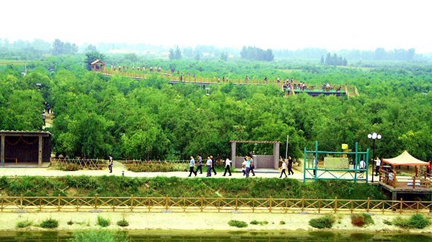 image005.jpg image005.jpg