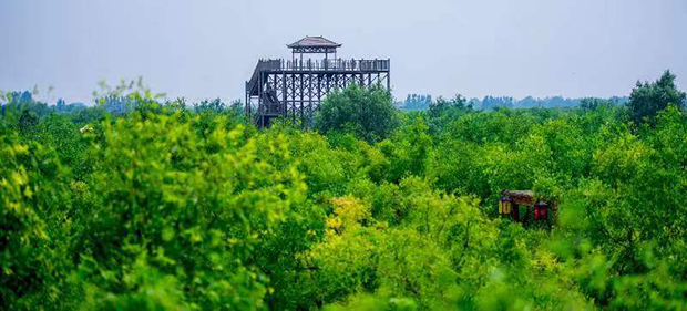 image007.jpg image007.jpg