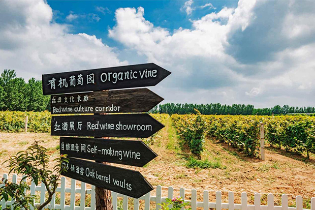 image003.jpg image003.jpg