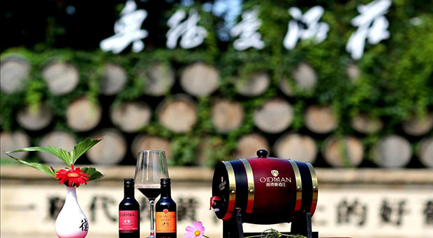 image005.jpg image005.jpg