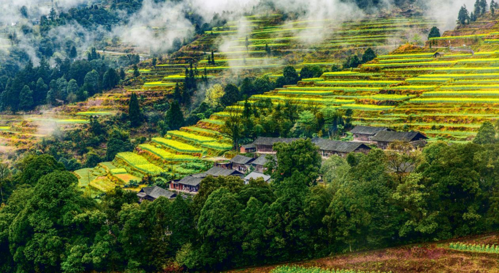 Honeyview_image001.jpg Honeyview_image001.jpg