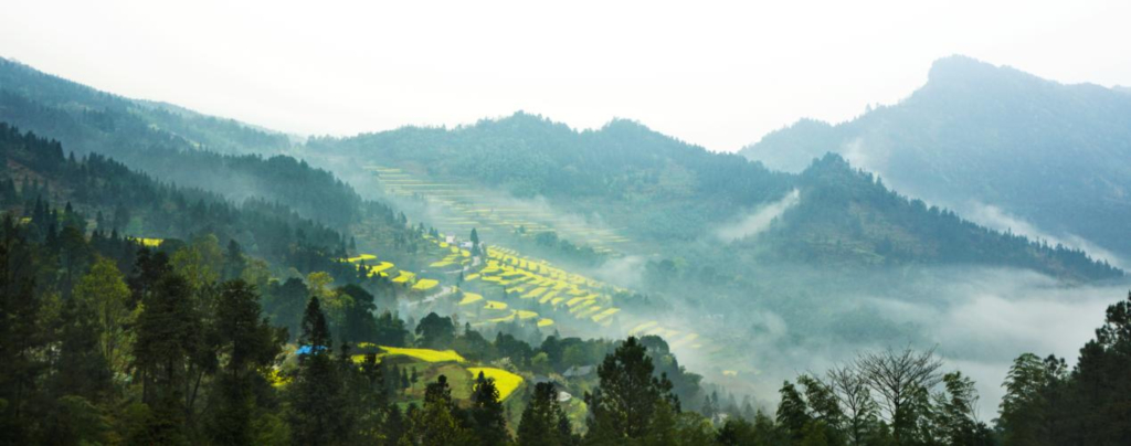 Honeyview_image005.jpg Honeyview_image005.jpg