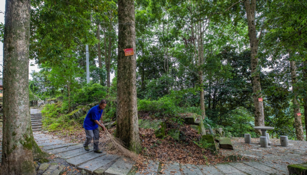 Honeyview_image005.jpg Honeyview_image005.jpg