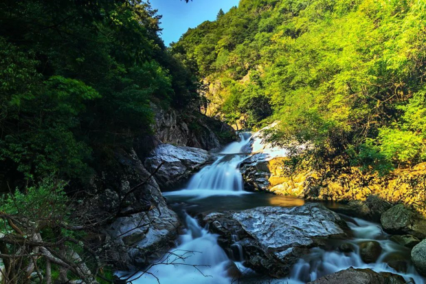 image011 (2).jpg image011 (2).jpg