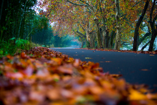 XXF_1750 (2).jpg XXF_1750 (2).jpg