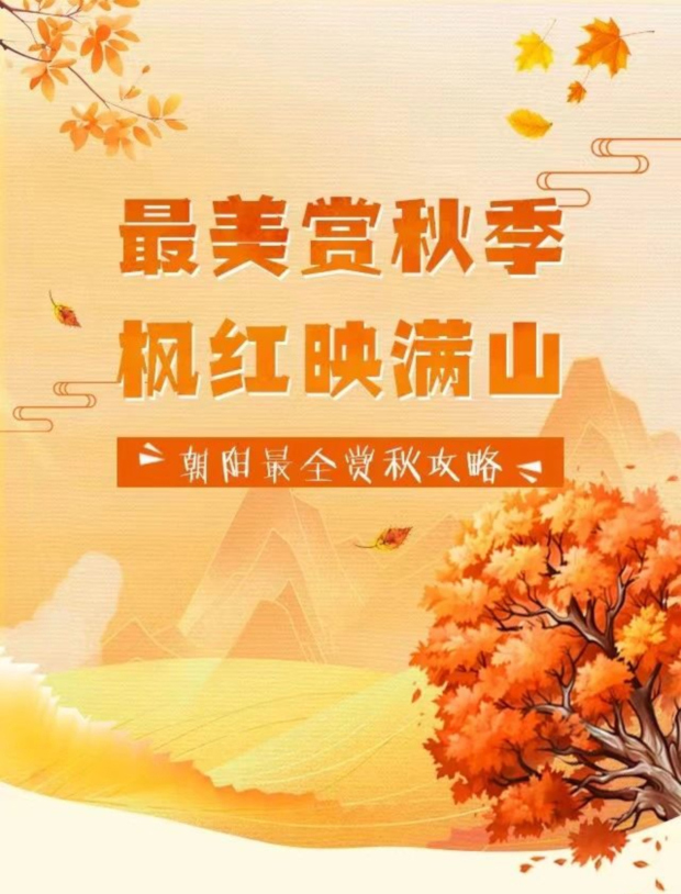 ΢��ͼƬ_20241008160835-(2)_01.jpg